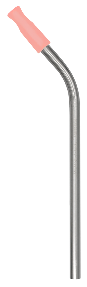 Stainless Steel Straw