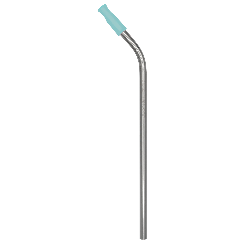 Stainless Steel Straw