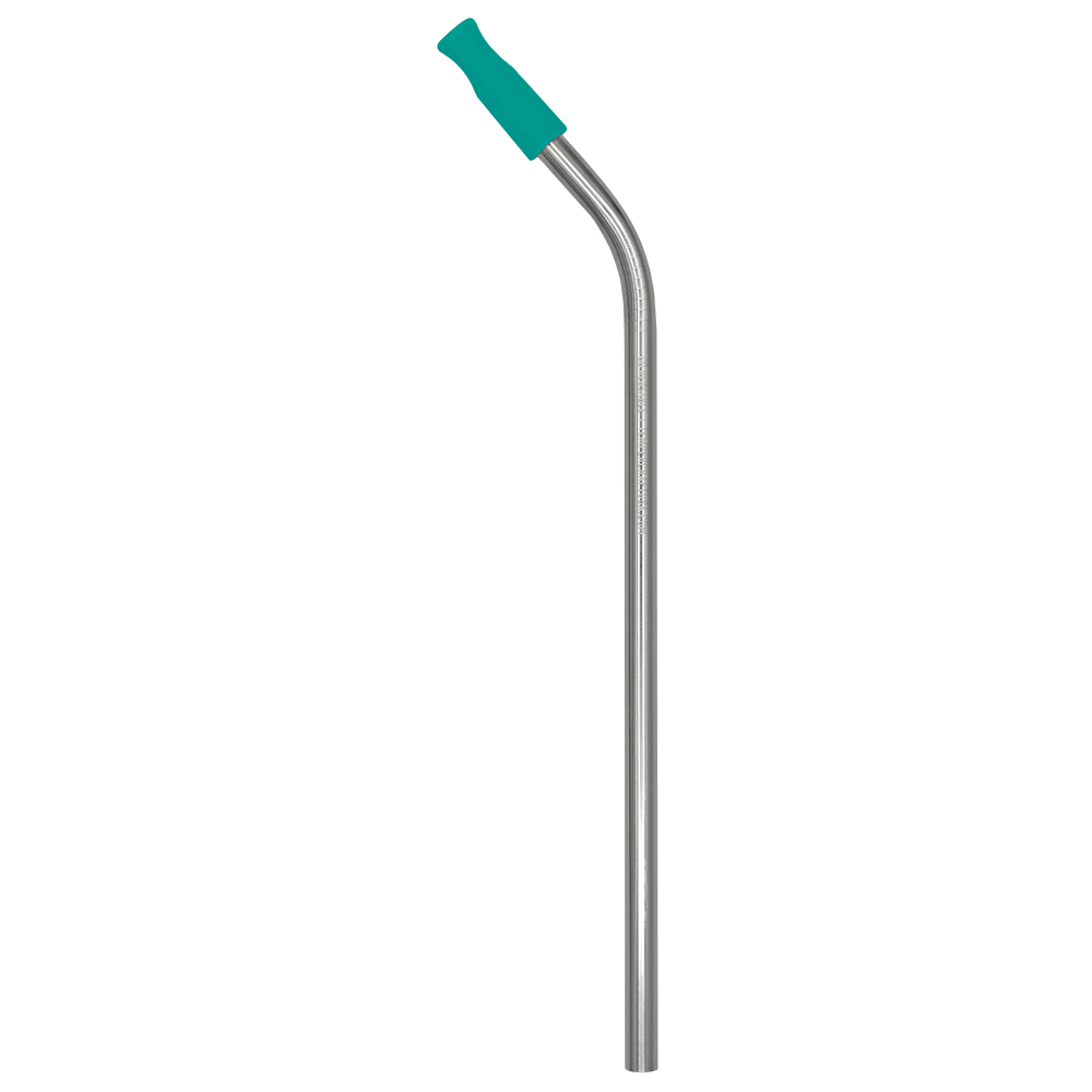 Stainless Steel Straw